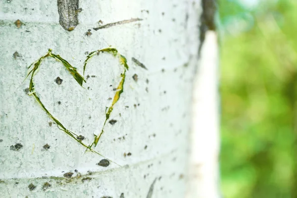 Bliska sercu rzeźbione w drzewie — Zdjęcie stockowe