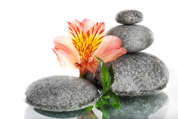 Stack of spa stones with flower — Stock Photo, Image