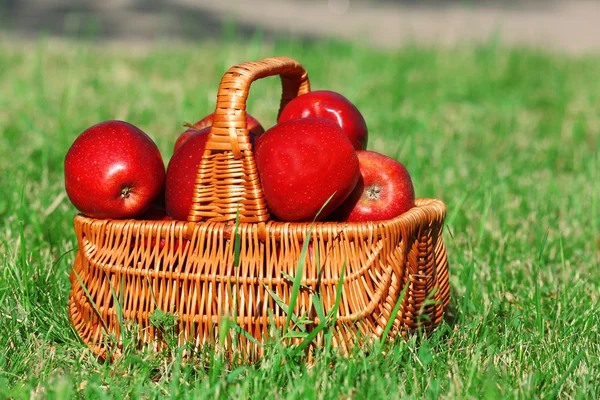 Olgun Kırmızı Elmalar — Stok fotoğraf