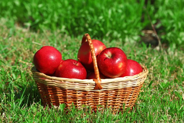 Ripe red apples in wicker basket on grass outdoors — Stock Photo, Image