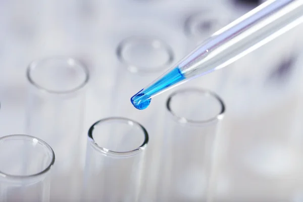 Test tubes in laboratory close up — Stock Photo, Image