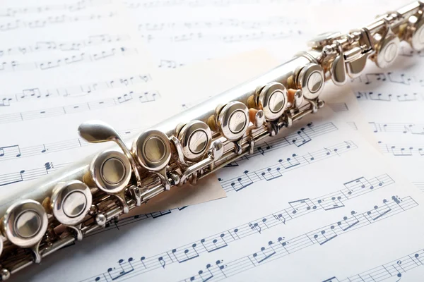 Flute on music notes background — Stock Photo, Image