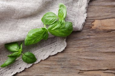 Yeşil taze fesleğen