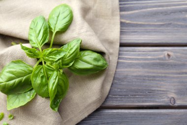 Yeşil taze fesleğen