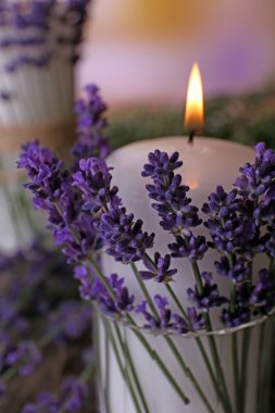 Masaya lavanta çiçek