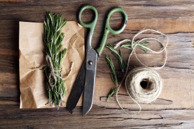 Rosemary sprigs on parchment