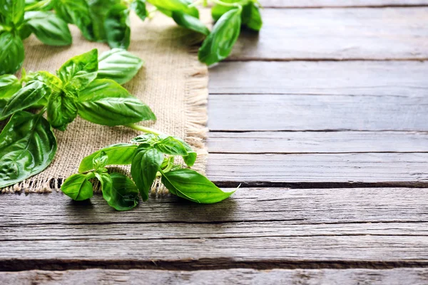 Green fresh basil — Stock Photo, Image