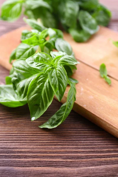 Green fresh basil — Stock Photo, Image