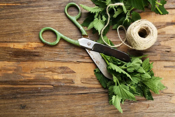 Leaves of lemon balm with rope and scissors on wooden background — Stock Photo, Image