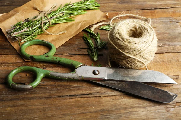 Rosemary sprigs on parchment — Stock Photo, Image