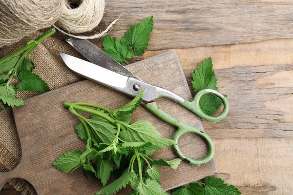 Leaves of lemon balm with scissors and rope on wooden cutting board, closeup — Stock Photo, Image