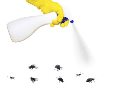 Plastic sprayer with insecticide and stinging insect isolated on white clipart