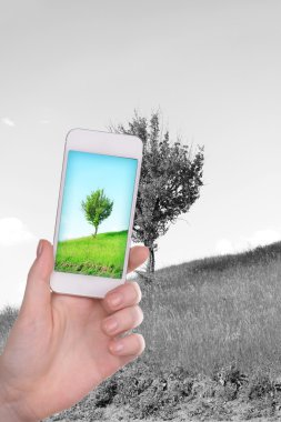 El alarak fotoğraf alanı yanında smartphone içinde ağaç