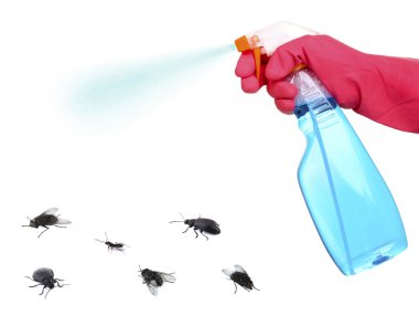 Böcek ilacı ve batma böcek üzerinde beyaz izole plastik püskürtme