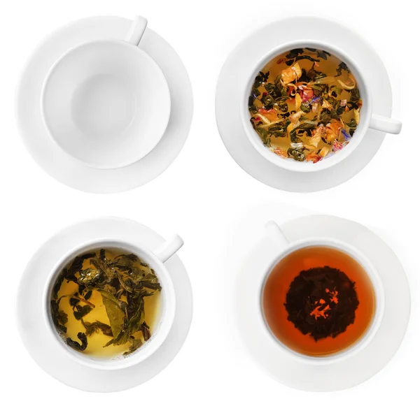 Csésze tea gyógynövény — Stock Fotó