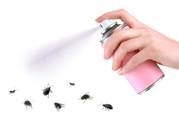 Plastic sprayer with insecticide and stinging insect — Stock Photo, Image
