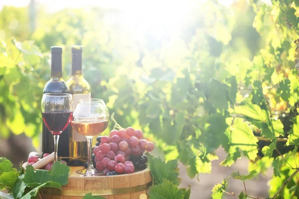 Leckerer Wein auf Holzfässern — Stockfoto