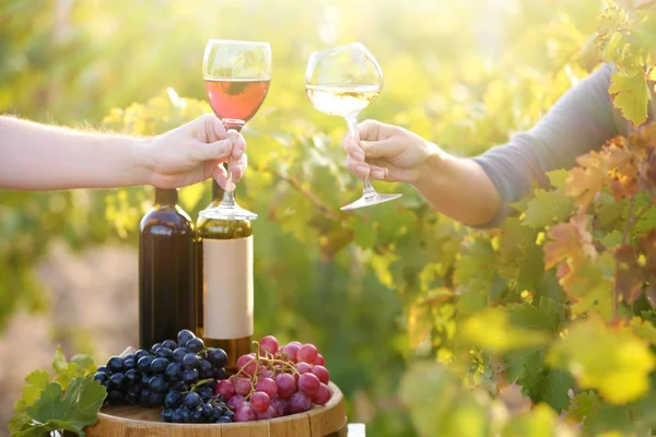 Verre à vin à la main sur fond de plantation de raisins — Photo