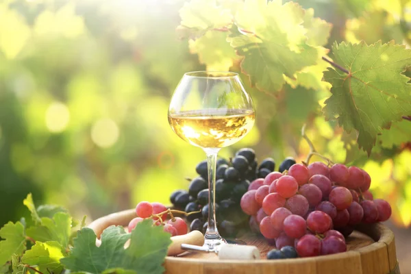 Verre et raisin sur tonneau en bois sur fond de plantation de raisin — Photo