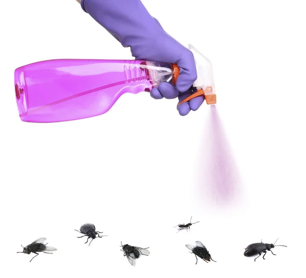 Plastic sprayer with insecticide and stinging insect isolated on white — Stock Photo, Image