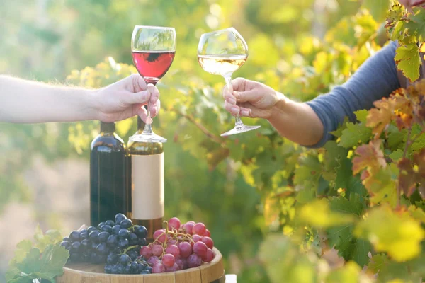 Bicchiere da vino in mano su sfondo piantagione di uva — Foto Stock