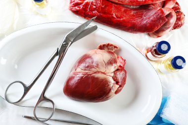 Tablo Araçları ile tıbbi metal tepsi kalp organ yakın çekim