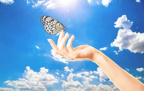 Human hand with butterfly on sky background — Stock Photo, Image