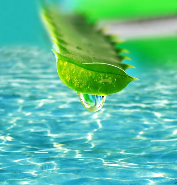 Liść aloesu z kropli na tle wody — Zdjęcie stockowe
