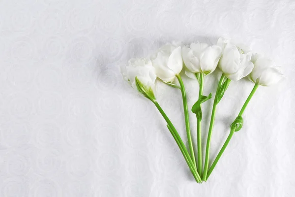 A textúrázott háttérre friss tulipán — Stock Fotó