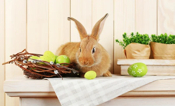 Lindo conejo rojo con huevos de Pascua en estante sobre fondo de pared de madera — Foto de Stock