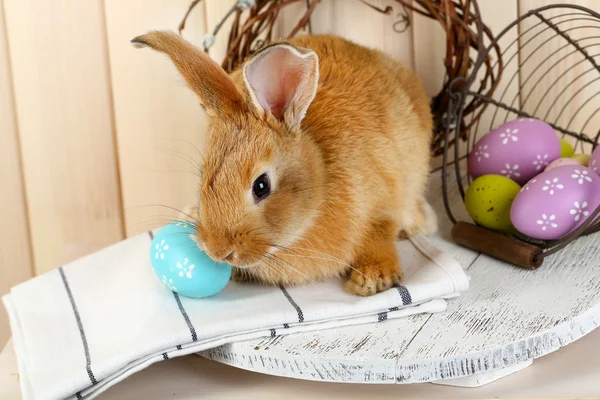 Cute red rabbit with Easter eggs on shelf on wooden wall background — Stock Photo, Image