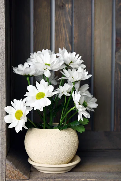 Beautiful chrysanthemum in pot in wooden crate — 스톡 사진