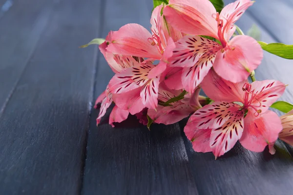 Schöne Alstroemeria auf Holzgrund — Stockfoto