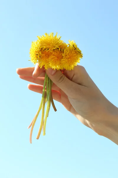 Weibliche Hand hält kleine Löwenzahn auf blauem Himmel Hintergrund — Stockfoto