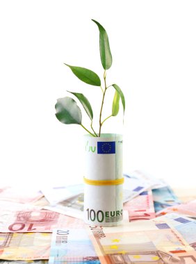 para ile üzerine beyaz izole Filiz büyüyen