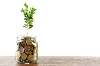 Filiz cam üzerinde beyaz izole tablo üzerinde büyüyen ile para