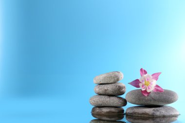 mavi arka plan üzerinde çiçekler olan spa taş yığını
