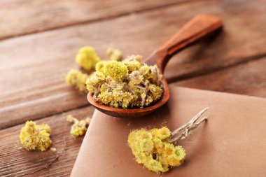 Old book with dry flowers on wooden background