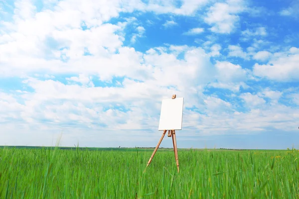Easel with canvas in green field — Stock Photo, Image