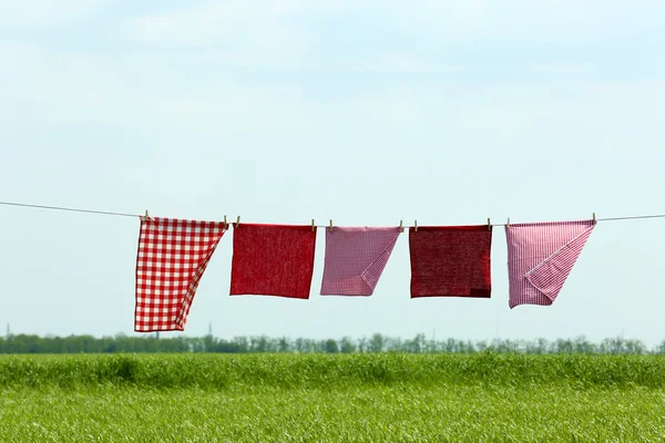 Linha de lavanderia com roupas no campo — Fotografia de Stock