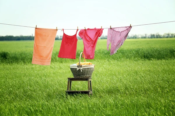 Wäscheleine mit Kleidung im Feld — Stockfoto