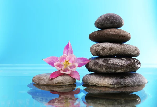 Piedras de spa con flores sobre fondo azul —  Fotos de Stock