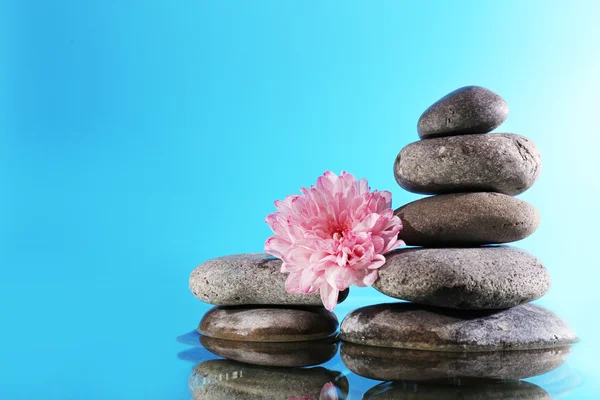 Stapel stenen van de spa met bloem op blauwe achtergrond — Stockfoto