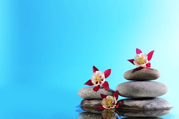 Stack av spa stenar med blommor på blå bakgrund — Stockfoto