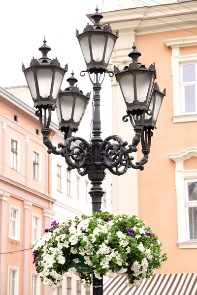 Расположение цветов на фонаре на фоне зданий — стоковое фото