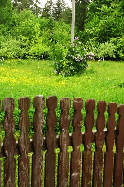 Wooden fence over green garden background — Zdjęcie stockowe