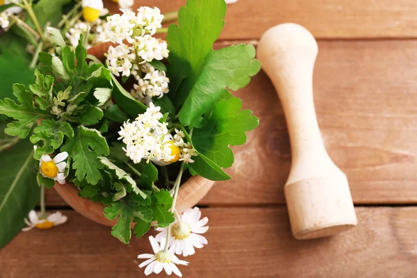 Herbs and flowers with mortar, on wooden table background — Stock Photo, Image