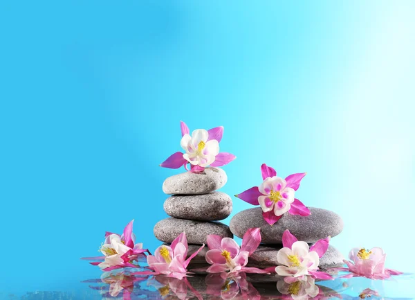 Stack of spa stones with flowers on blue background — Stock Photo, Image