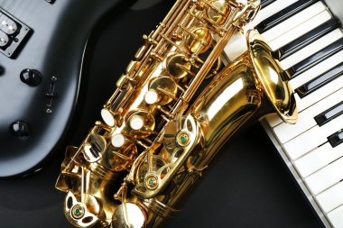 Müzik aletleri, portre
