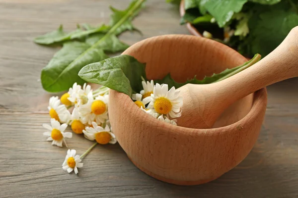 Ervas, bagas e flores com argamassa, sobre fundo de mesa de madeira — Fotografia de Stock